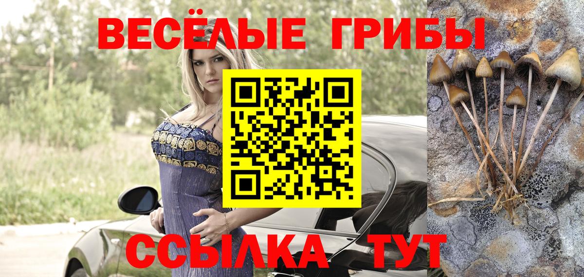 Псилоцибиновые грибы мицелий Егорьевск